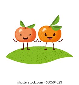 white background with realistic pair of tangerine fruits caricature over grass vector illustration