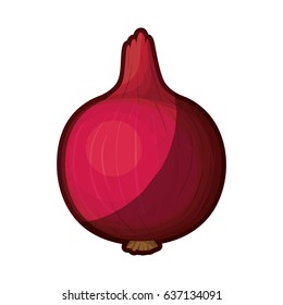 white background with realistic red beet with thick contour vector illustration