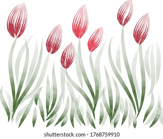 White background. Red abstract tulips.