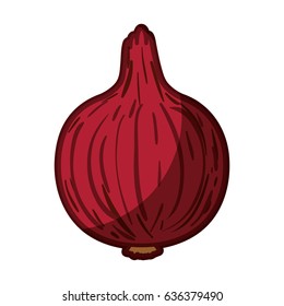 white background with red beet with thick contour vector illustration