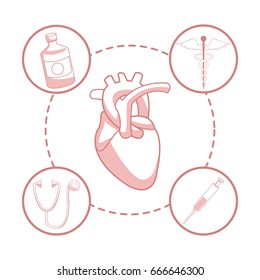 white background with red color sections of silhouette heart organ with circular frame elements health