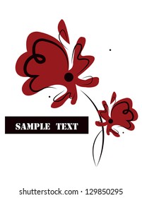 white background with red  poppy