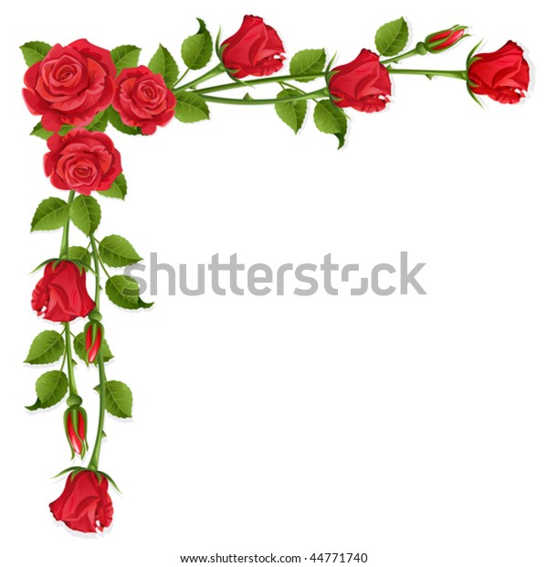 White Background Red Roses Stock Vector (Royalty Free) 44771740