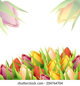 a white background with roses at the bottom, and a place for text, vector