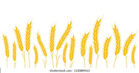 White background seamless pattern. vector illustration field with ears of wheat for agriculture or bakery.