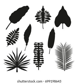 white background with set brown color types of tropical leaves