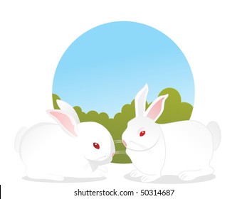 white background with set of rabbit, vector illustration