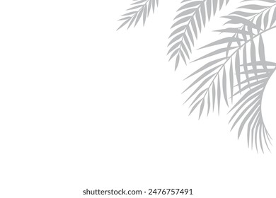 White background with a shadow of palm leaves, luxurious minimalist design.