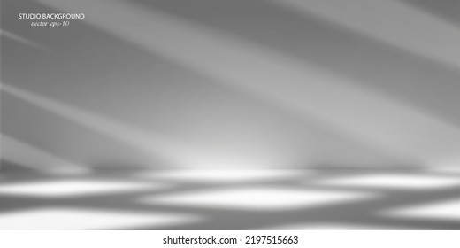 White background with shadows and sunlight.Studio banner.Design room.Vector illustration.