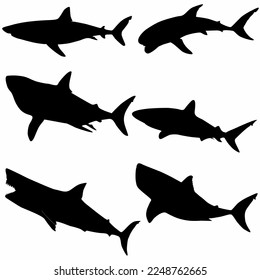 conjunto de tiburones de fondo blanco, silueta, depredador marino