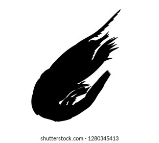 white background shrimp silhouette