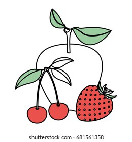white background with silhouette color sections set fruits apple cherries and strawberry vector illustration