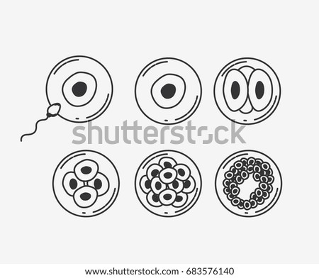 white background silhouette fecundation process vector illustration