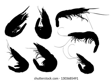 white background, silhouette shrimp set
