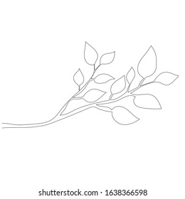 white background, single line drawing of a tree branch