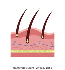 white background skin cells vector illustration. illustration of body organs