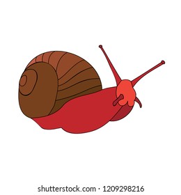 white background, a snail is crawling