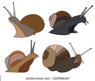 white background, snail crawling, set