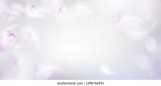 White background with soft pink lilac flower petals and feathers vector illustration
