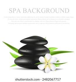 Fondo blanco para spa. Ilustración vectorial