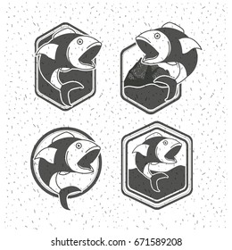 white background with sparkle of silhouette set shield with types of fish big mouth open vector illustration