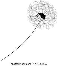 White background with stylized black dandelion.