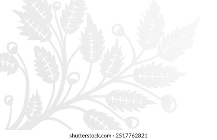 White Background with Subtle Gray and White Botanical Accents