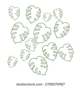 White Background with Tropical Monstera Leaf Line Style. Vector Illustration