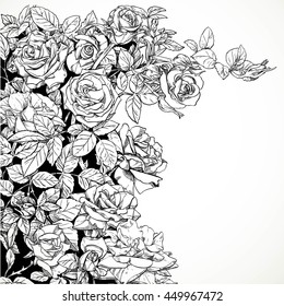 White background with vector drawing graphically climbing roses in black ink