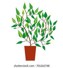 White background with vector isolated illustration of indoor plant