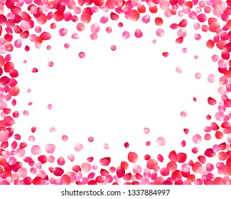 White background with vector pink rose petals 