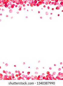 White background with vector pink rose petals 