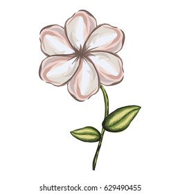 white background of watercolor malva flower with stem and leaves vector illustration