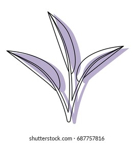 white background with watercolor silhouette of leaves lanceolate vector illustration