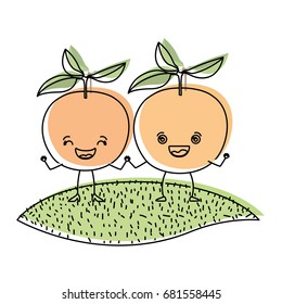 white background with watercolor silhouette of pair of orange fruits caricature over grass vector illustration