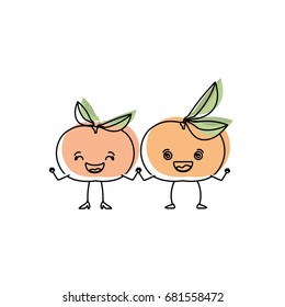 white background with watercolor silhouette of pair of tangerine fruits caricature vector illustration
