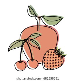 white background with watercolor silhouette set of fruits apple cherries and strawberry
