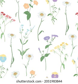 White background with wildflowers. Seamless vector pattern