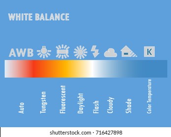 White Balance Vector