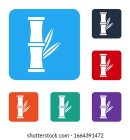 White Bamboo icon isolated on white background. Set icons in color square buttons. Vector Illustration
