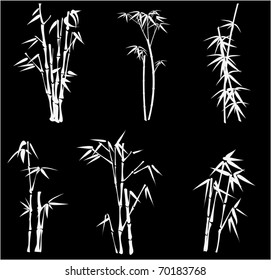 white bamboo on black background