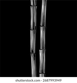vetor de bambu branco com fundo preto