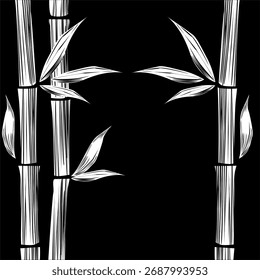 white bamboo vector with black background