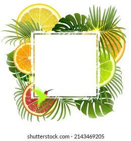 white banner on a background of tropical plants and citrus fruits with a green hummingbird