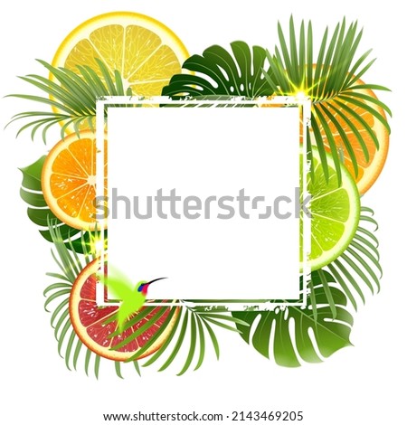 white banner on a background of tropical plants and citrus fruits with a green hummingbird