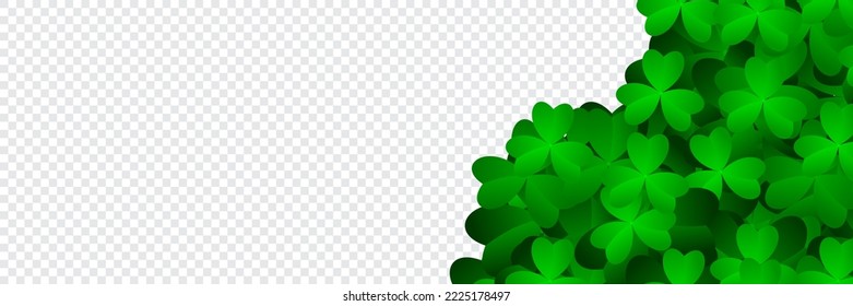 White banner with shamrock leaves. Realistic green clovers. Horizontal background. Vector illustration