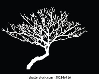 white of bare tree silhouette isolated on black background