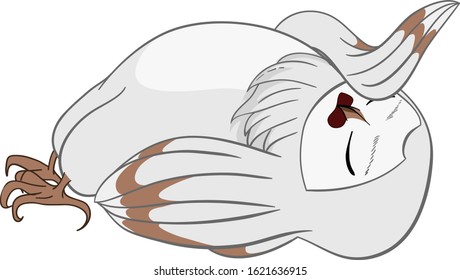 White white barn owl Drama Qween in cartoon vector isolated background