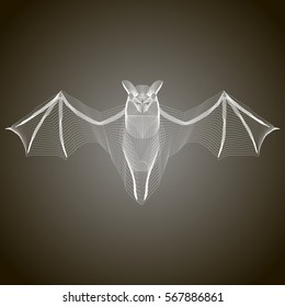 A white bat  x-ray stylize  illustration on an isolated background