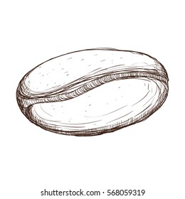 White bean coffee icon design, vector illustration